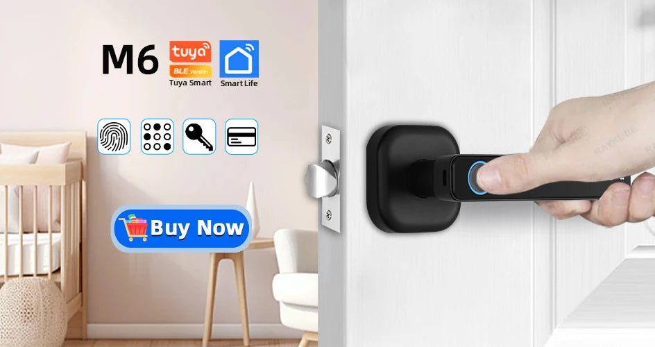 Raykube M5 Smart Lock