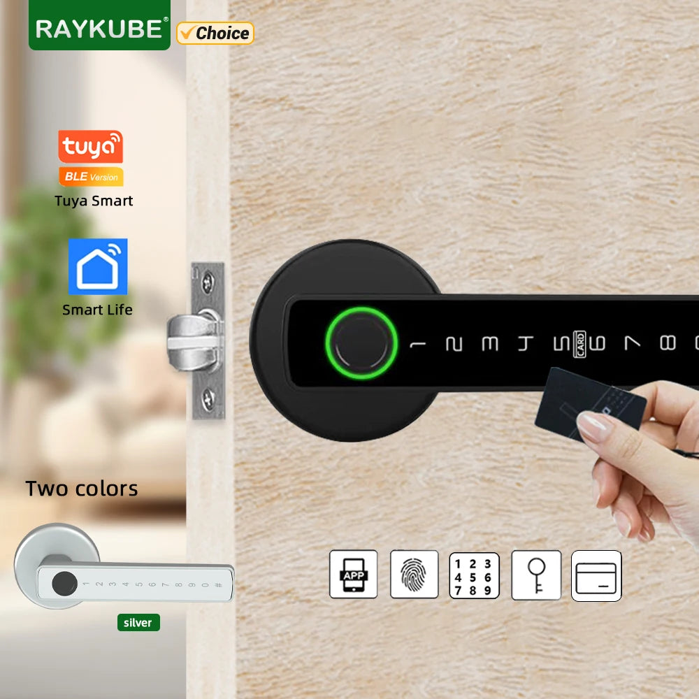 Raykube M5 Smart Lock