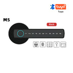 Raykube M5 Smart Lock