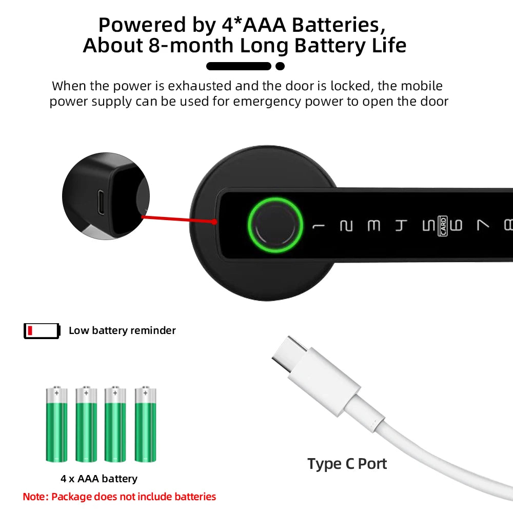 Raykube M5 Smart Lock