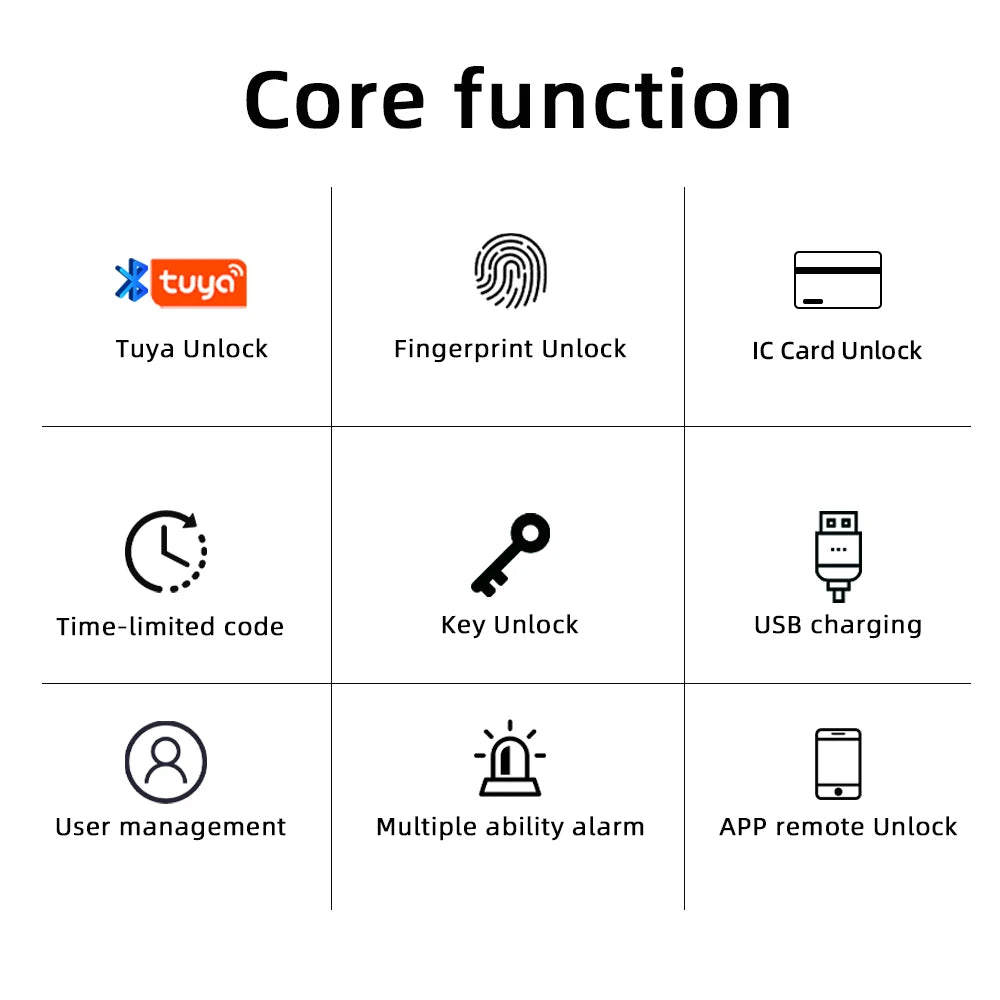 Raykube M5 Smart Lock