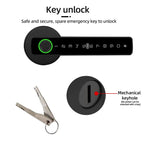 Raykube M5 Smart Lock