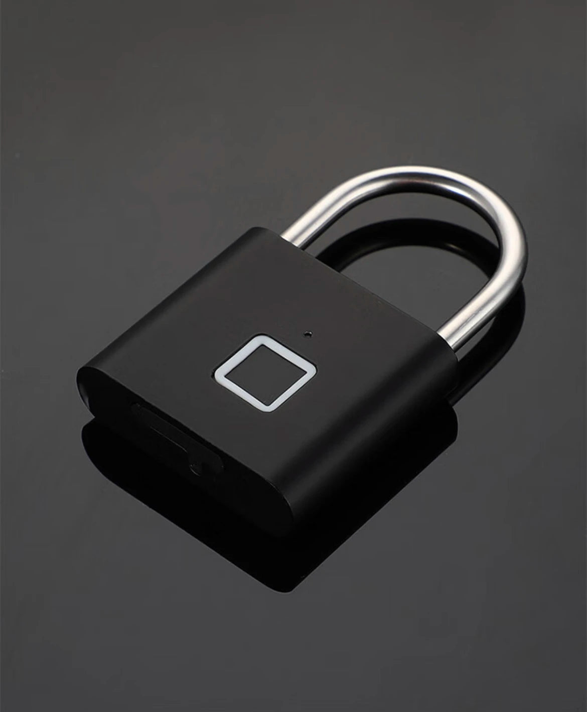 CDOK P2 Biometric Digital Padlock