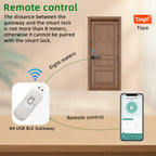 Raykube M5 Smart Lock