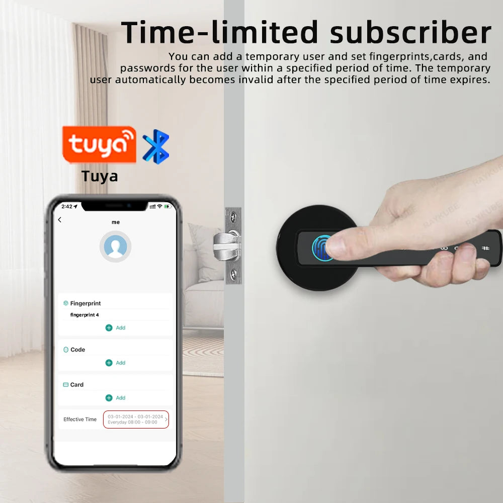 Raykube M5 Smart Lock