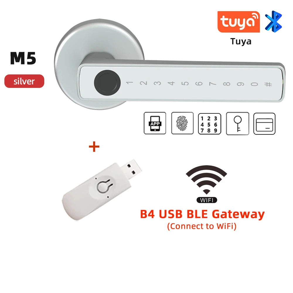 Raykube M5 Smart Lock