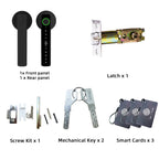 Raykube M5 Smart Lock