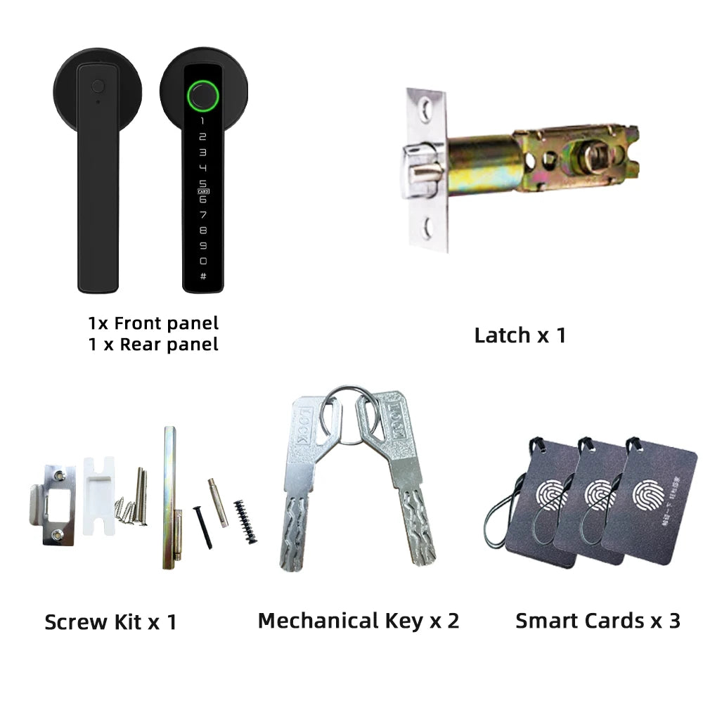 Raykube M5 Smart Lock