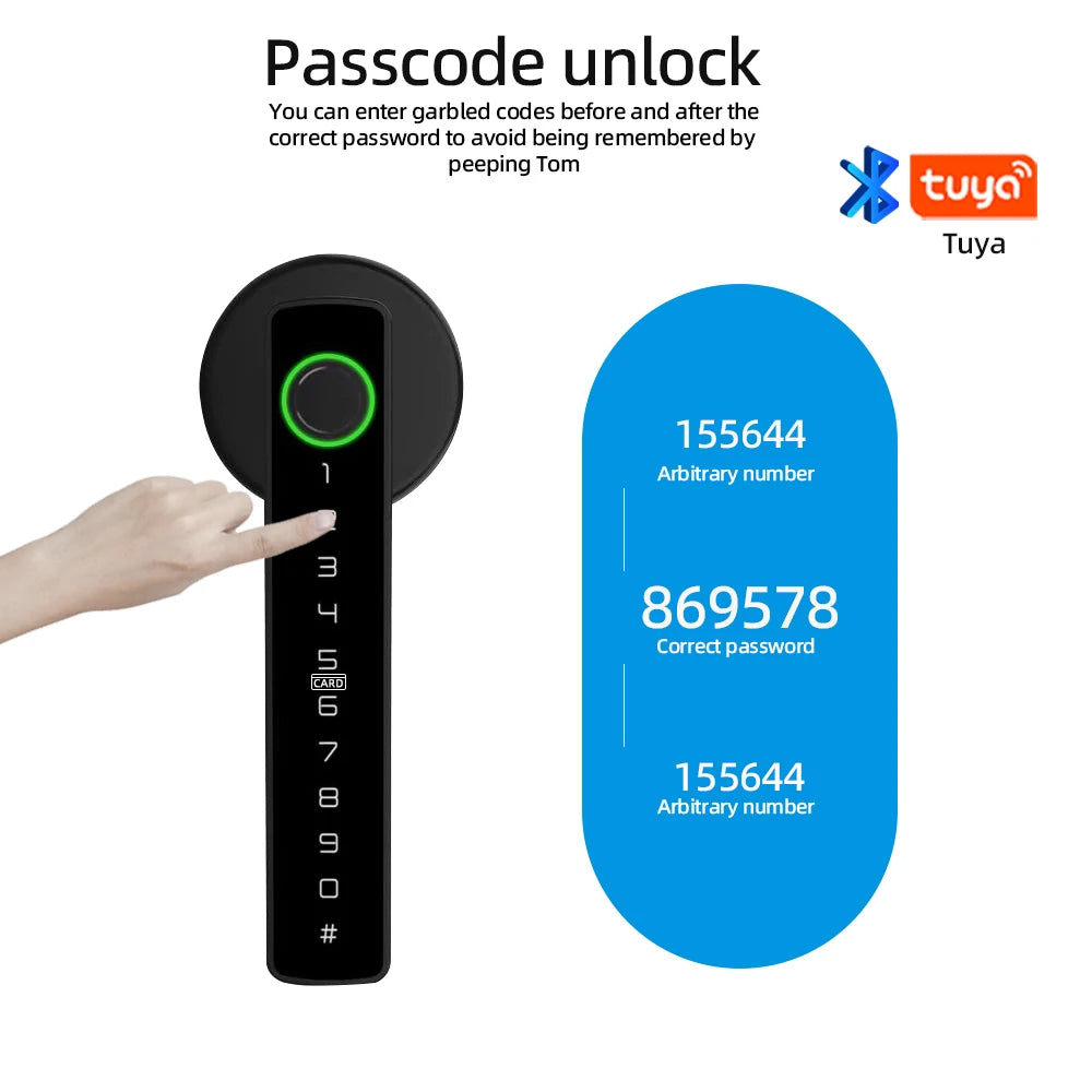 Raykube M5 Smart Lock