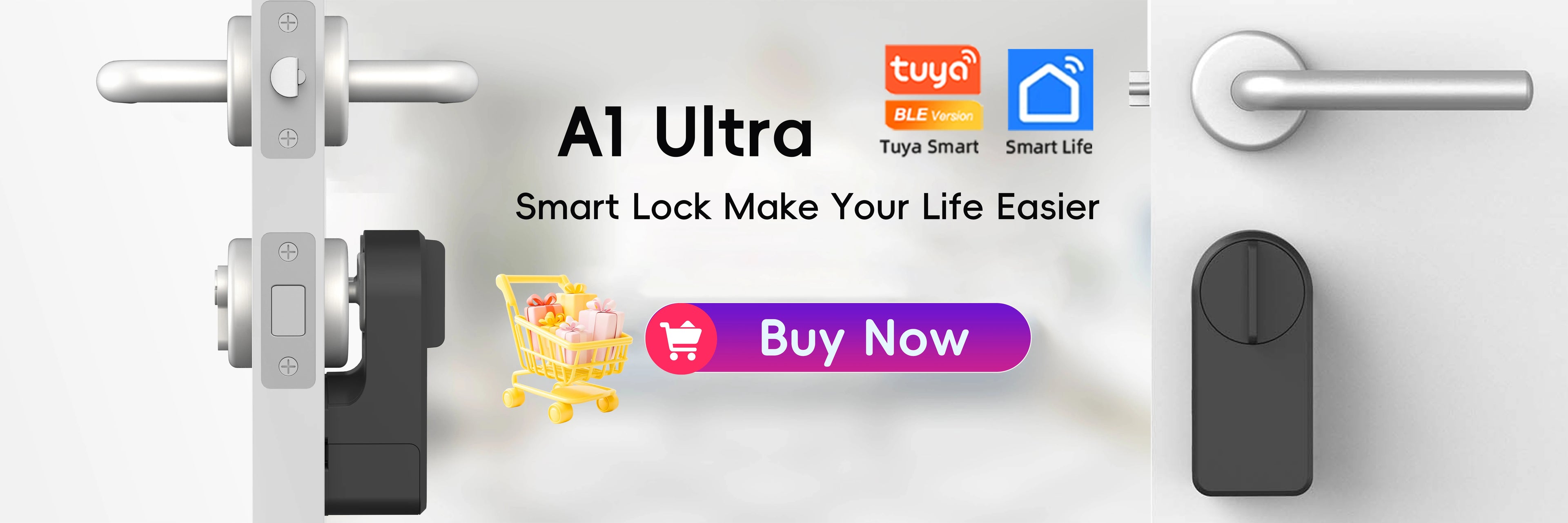 Raykube M5 Smart Lock