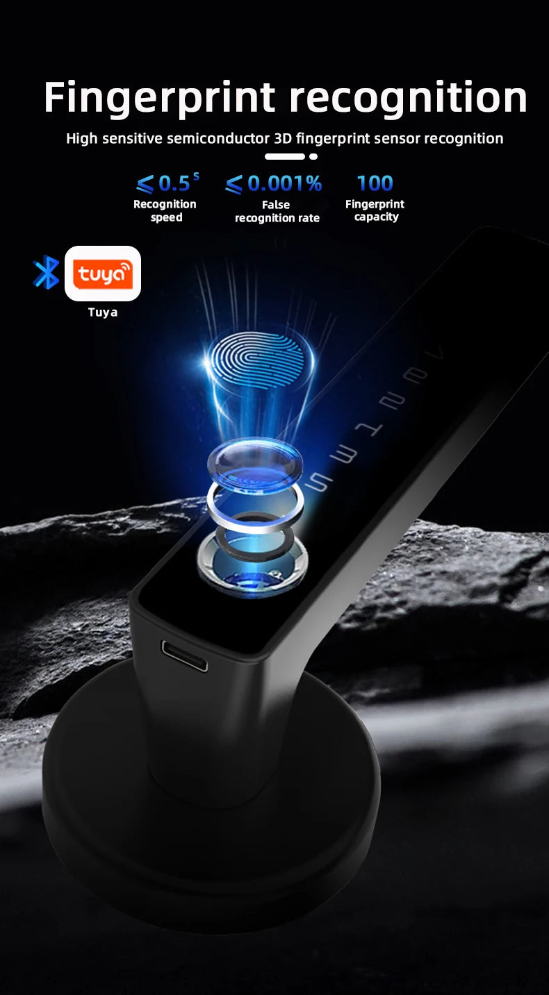 Raykube M5 Smart Lock