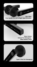 Raykube M5 Smart Lock