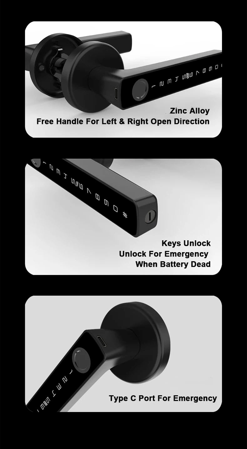 Raykube M5 Smart Lock